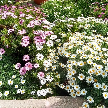 Con Vista Al Mar En La Mitica Nogalera 아파트 *