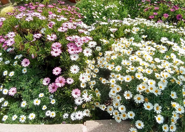 Con Vista Al Mar En La Mitica Nogalera 아파트 *